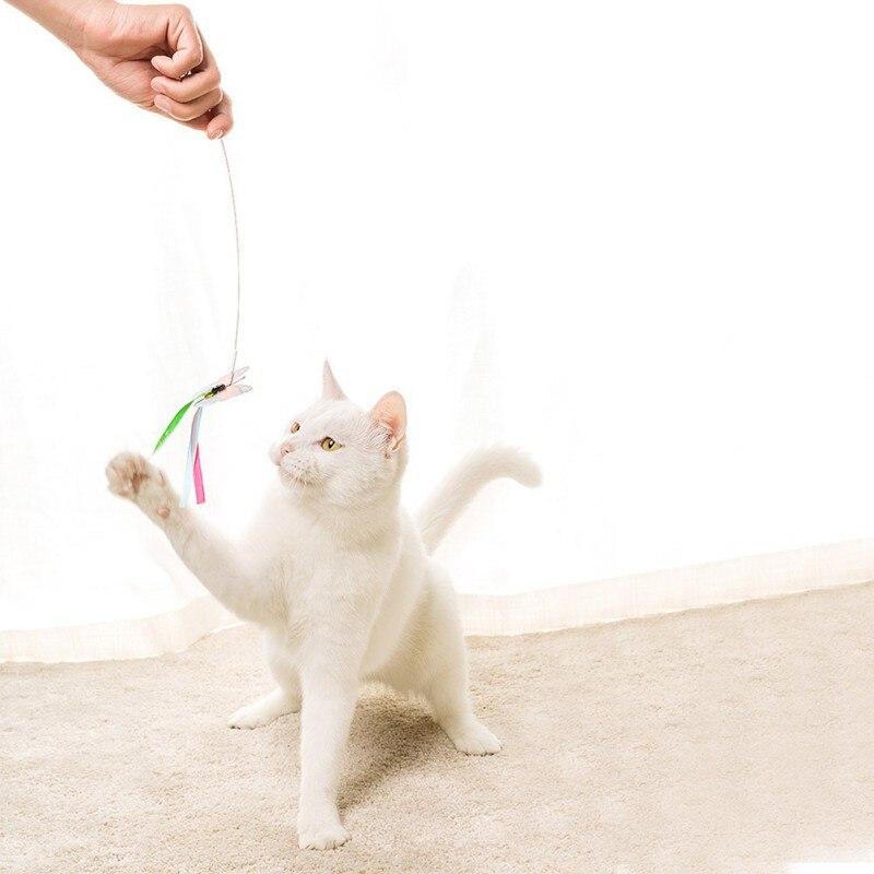 Interactive Cat Teasing Toy