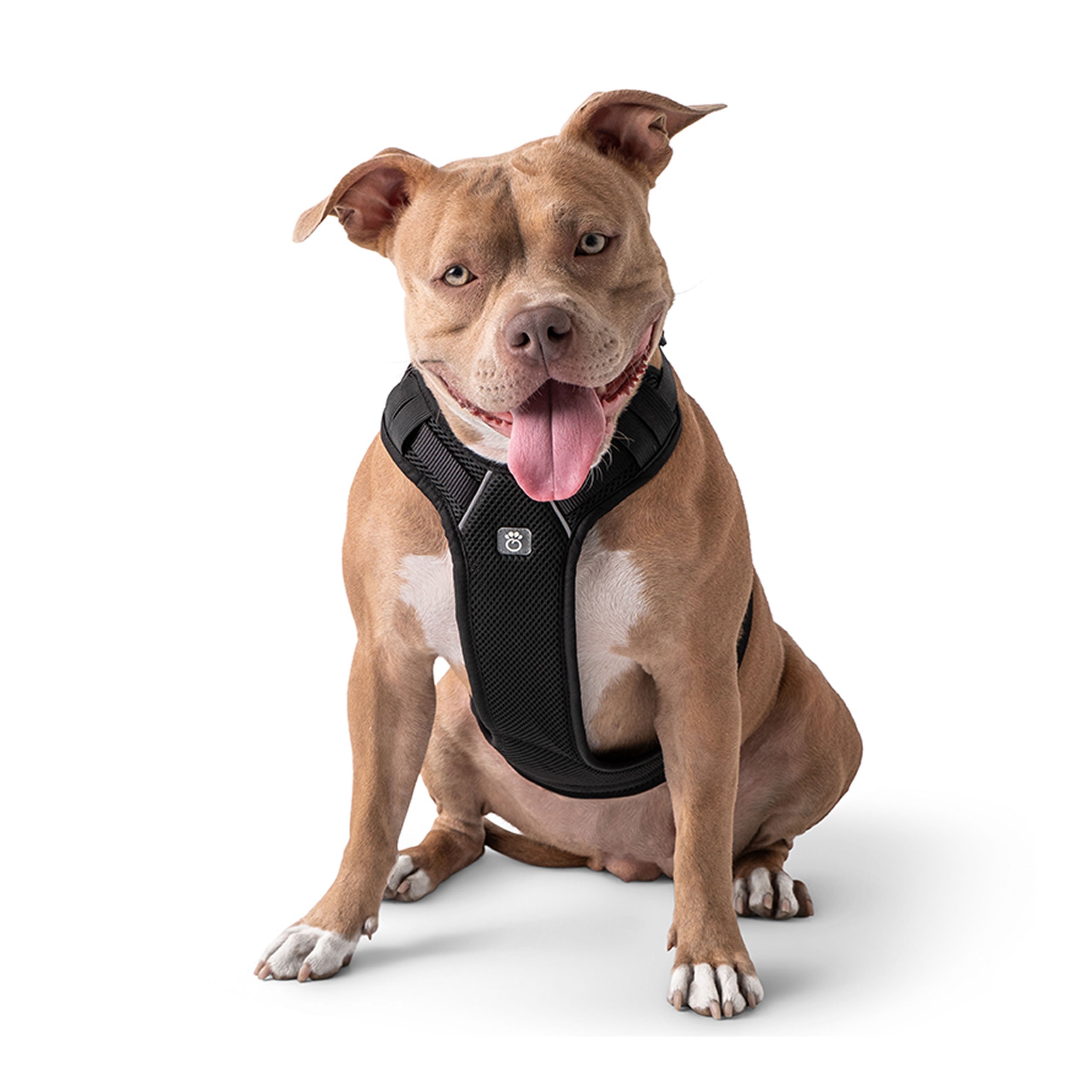 GF Pet Travel Harness - Black