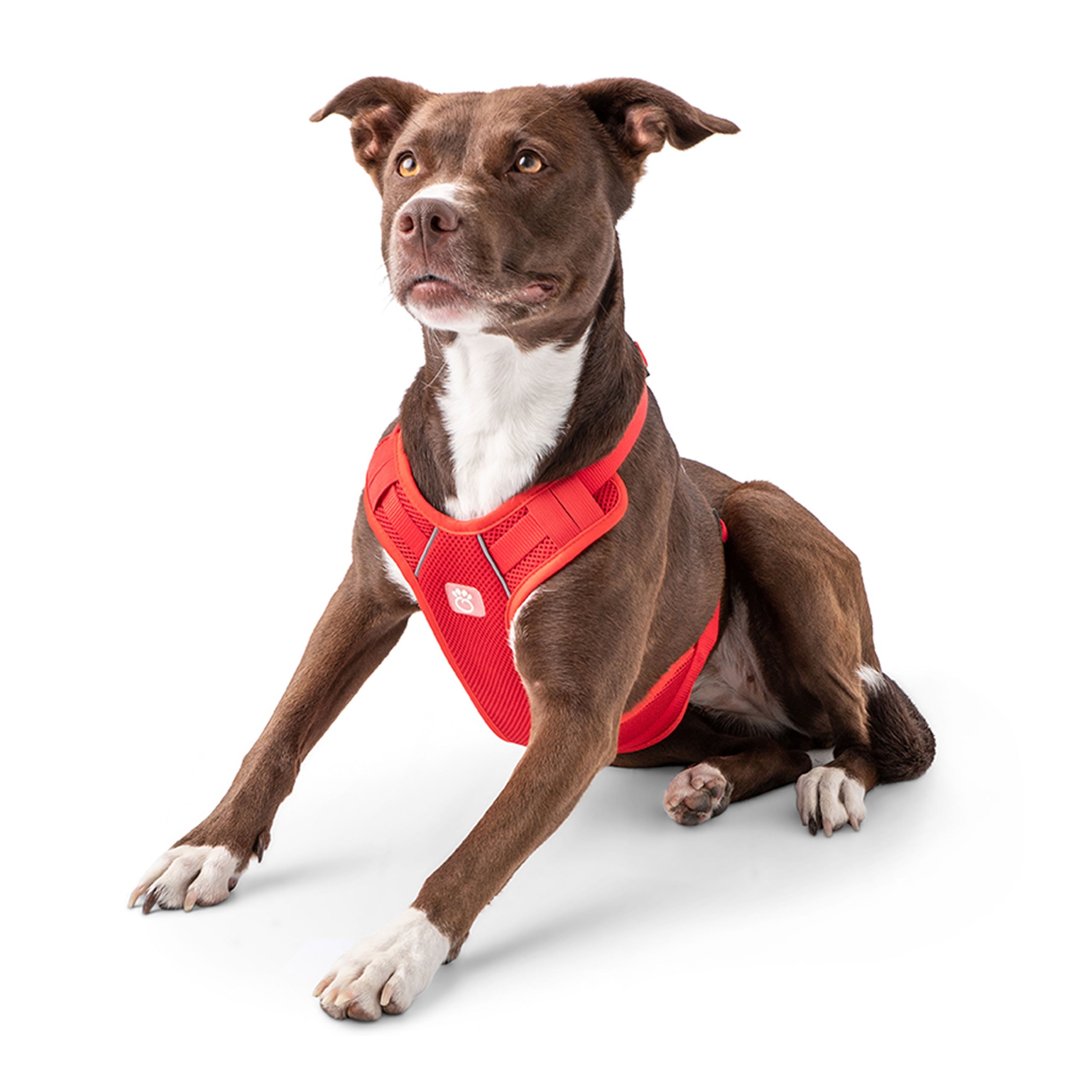 GF Pet Travel Harness - Red