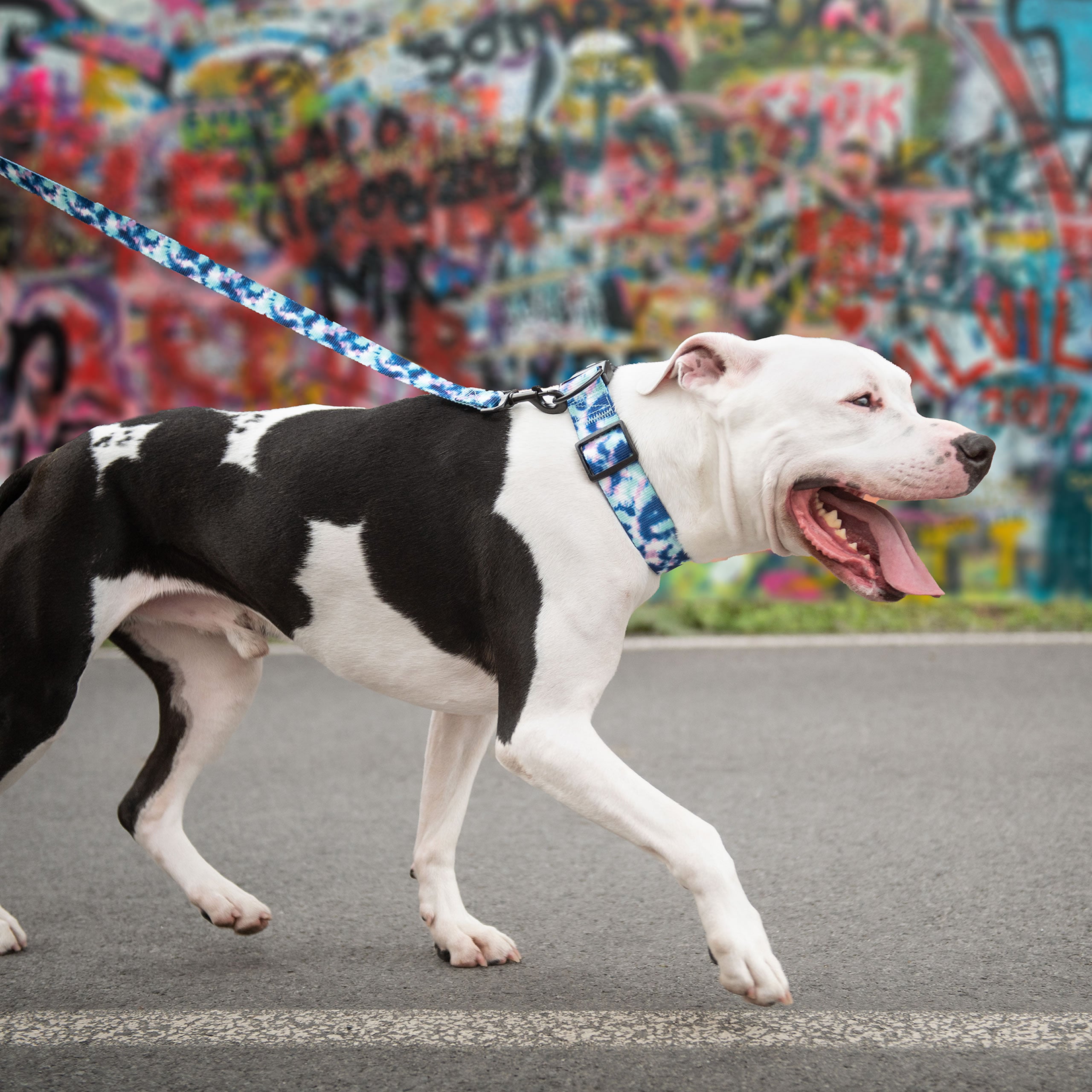 GF Pet Printed Collar - Tie Dye