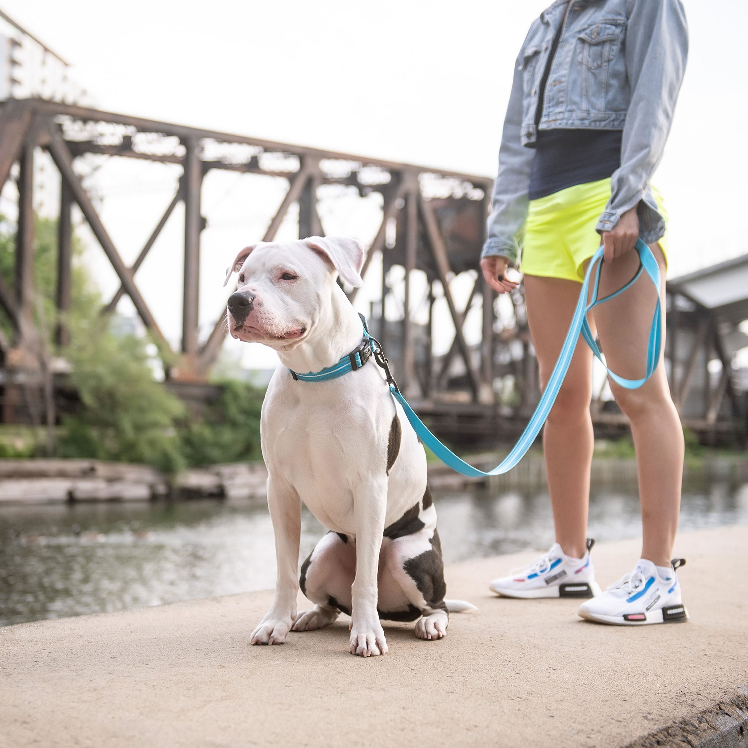 GF Pet Reflective Leash - Neon Blue