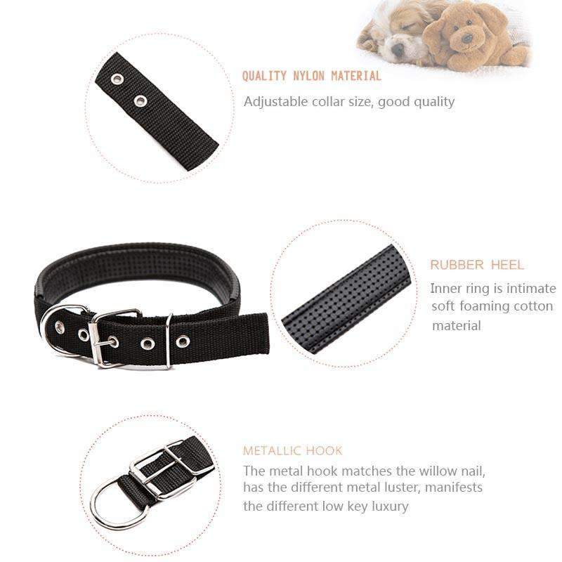 Adjustable Dog Collar with Metal D Ring & Buckle Pet Collars Neck