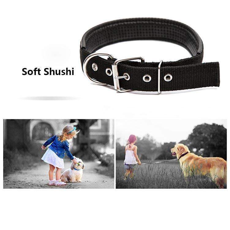 Adjustable Dog Collar with Metal D Ring & Buckle Pet Collars Neck