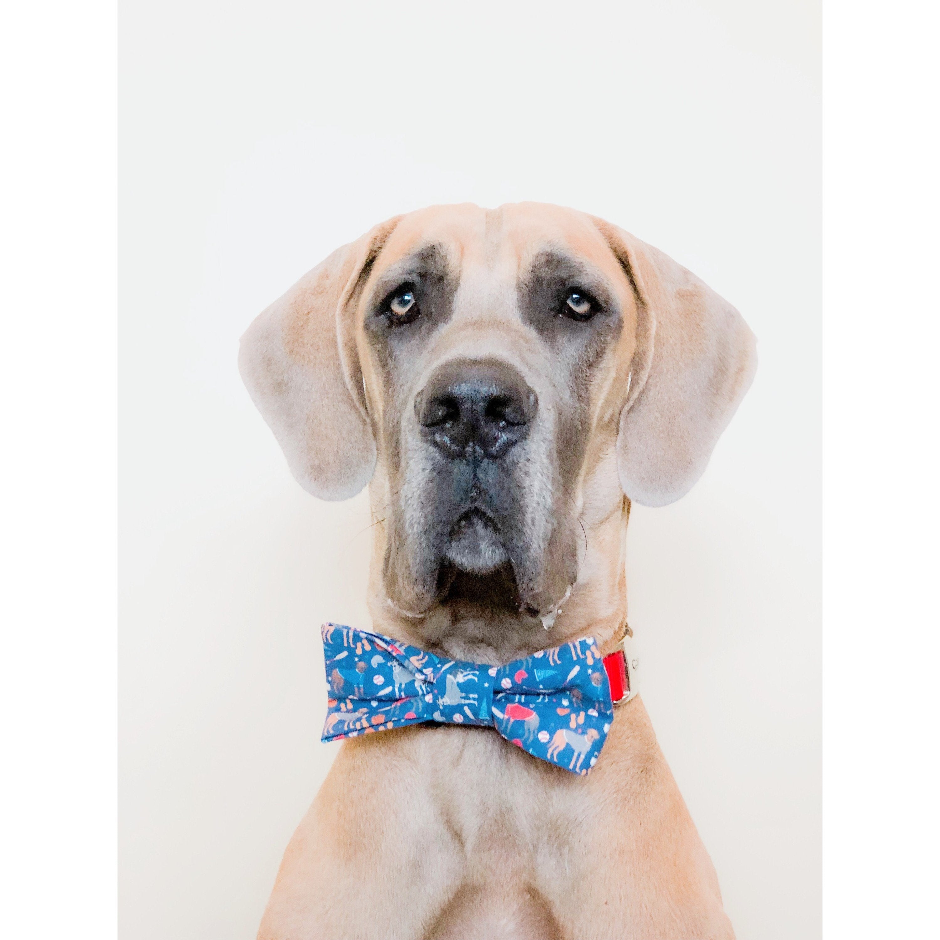 You're a Catch - Dog Bow Tie