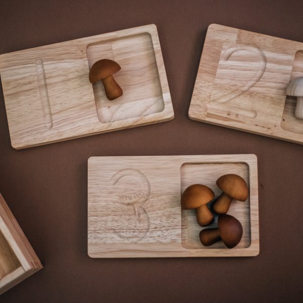 Jumbo counting tray | Plum Thanatos