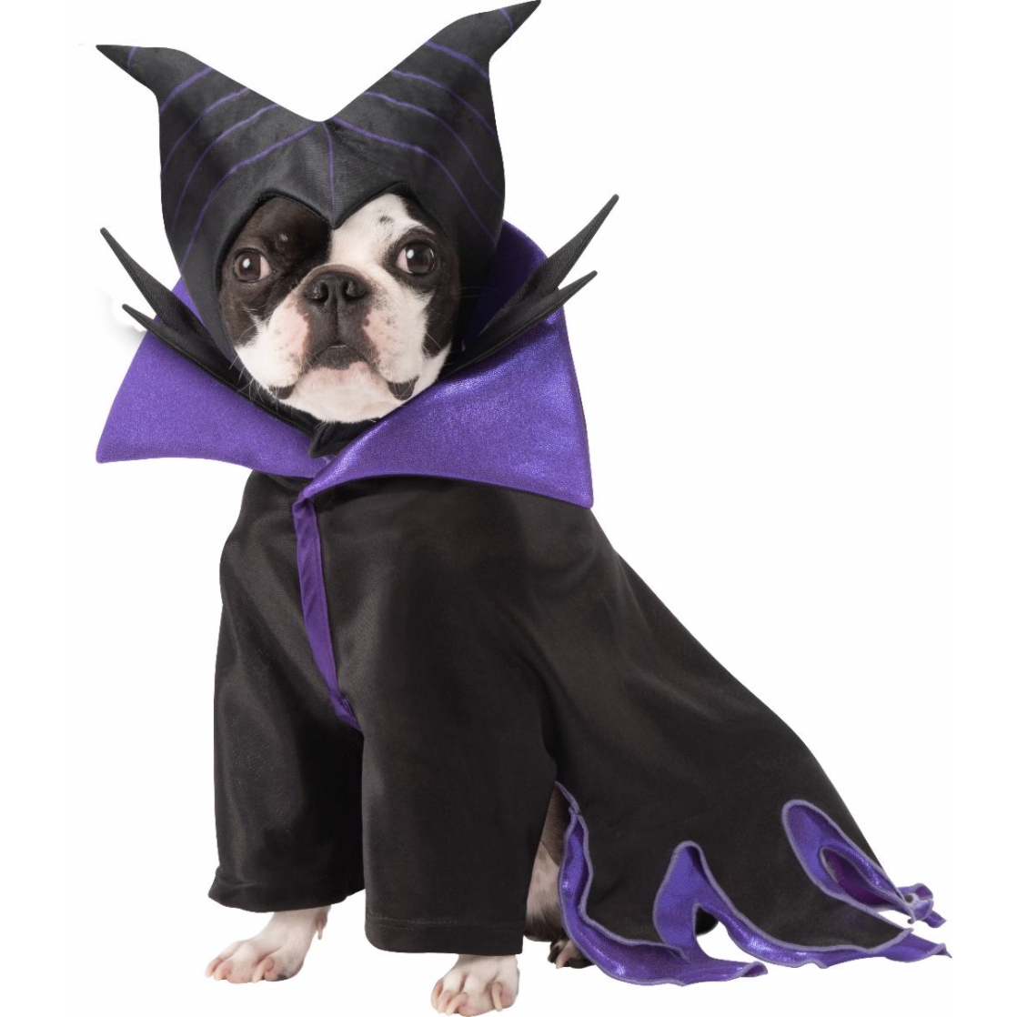 Maleficent Disney Villains Pet Costume | Turquoise Daedalus