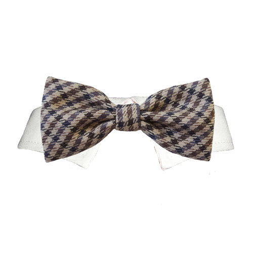 Ethan Bow Tie | Lime Aeneas