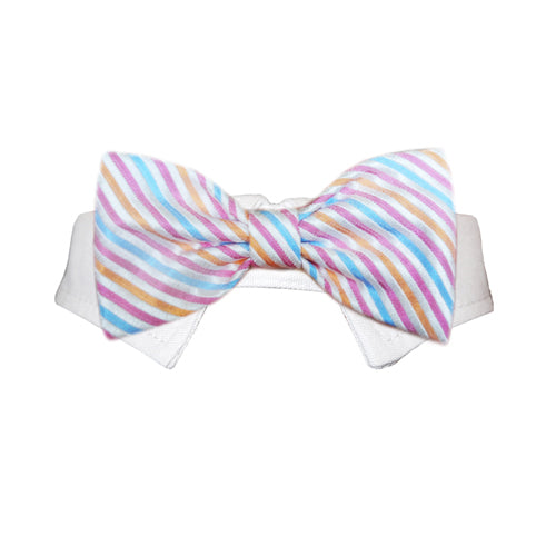 Morgan Pet Bow Tie | Lime Aeneas