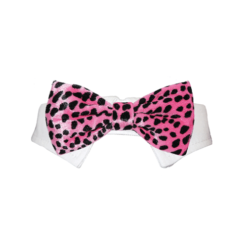 Roberto Bow Tie - Pink | Lime Aeneas