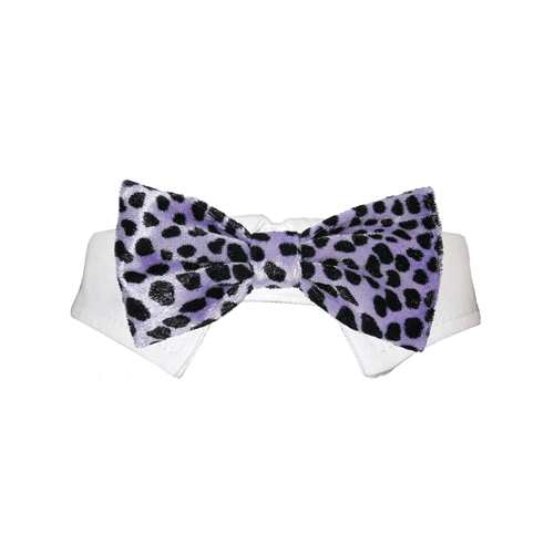 Roberto Bow Tie - Purple | Lime Aeneas