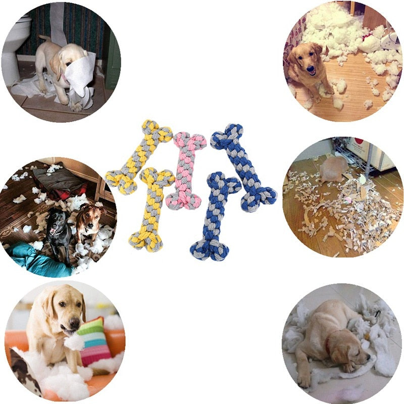 Cotton Rope Molar Chewing Toy | Dog Toys