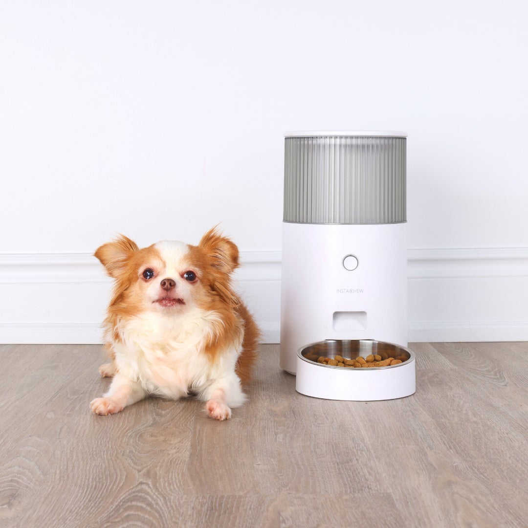 INSTACHEW Purebite Smart Automatic Pet Feeder, App Enabled, Food Bin