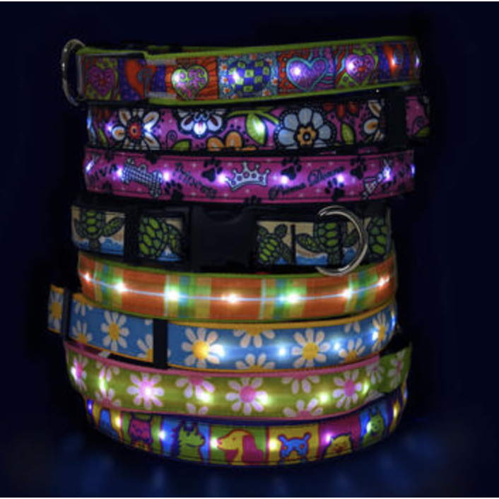 Orion Halloween LED Dog Collar