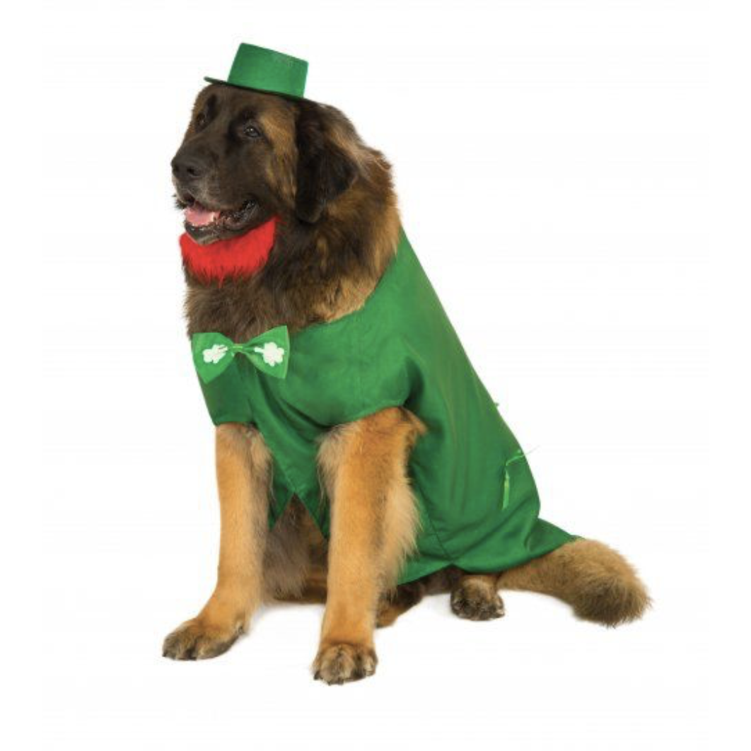 Leprechaun Pet Costume