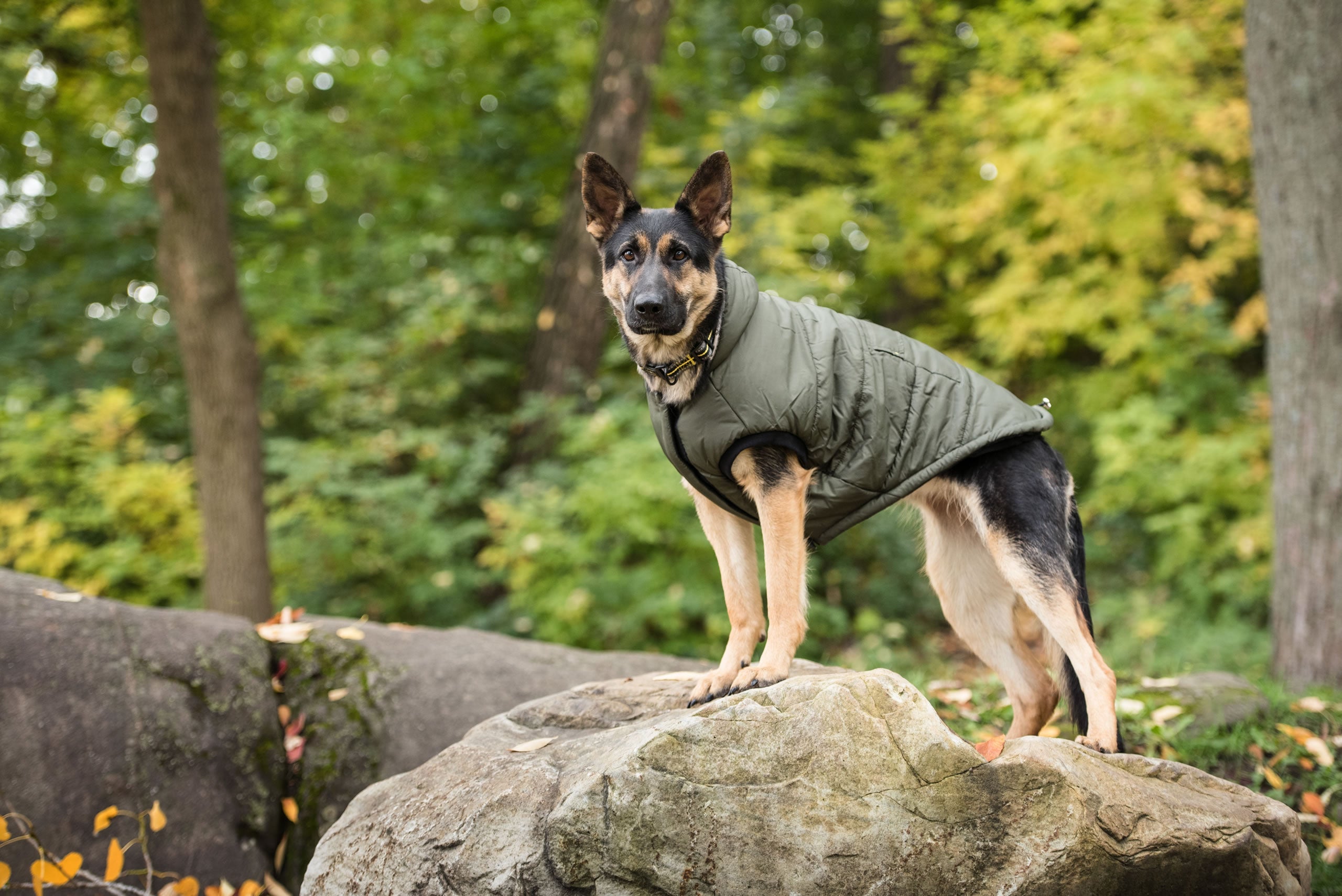 US Army Dog Parka - Dark Camo