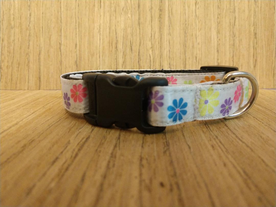 Collar/ Small/ White & Blue & Orange & Purple Flowers