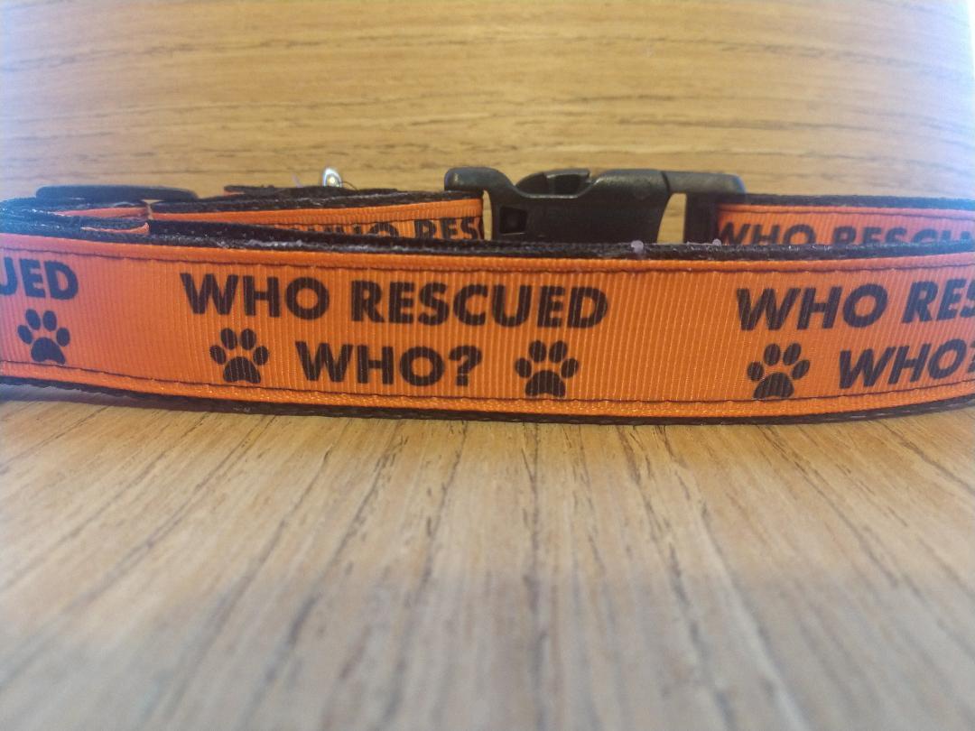 Leash/ Large/ Who Rescued Who