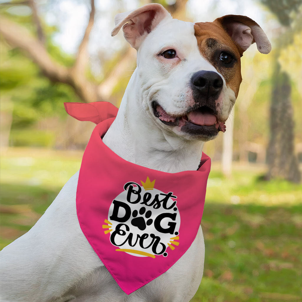 Best Dog Ever Pet Bandana - Cute Dog Bandana - Printed Pet Scarf