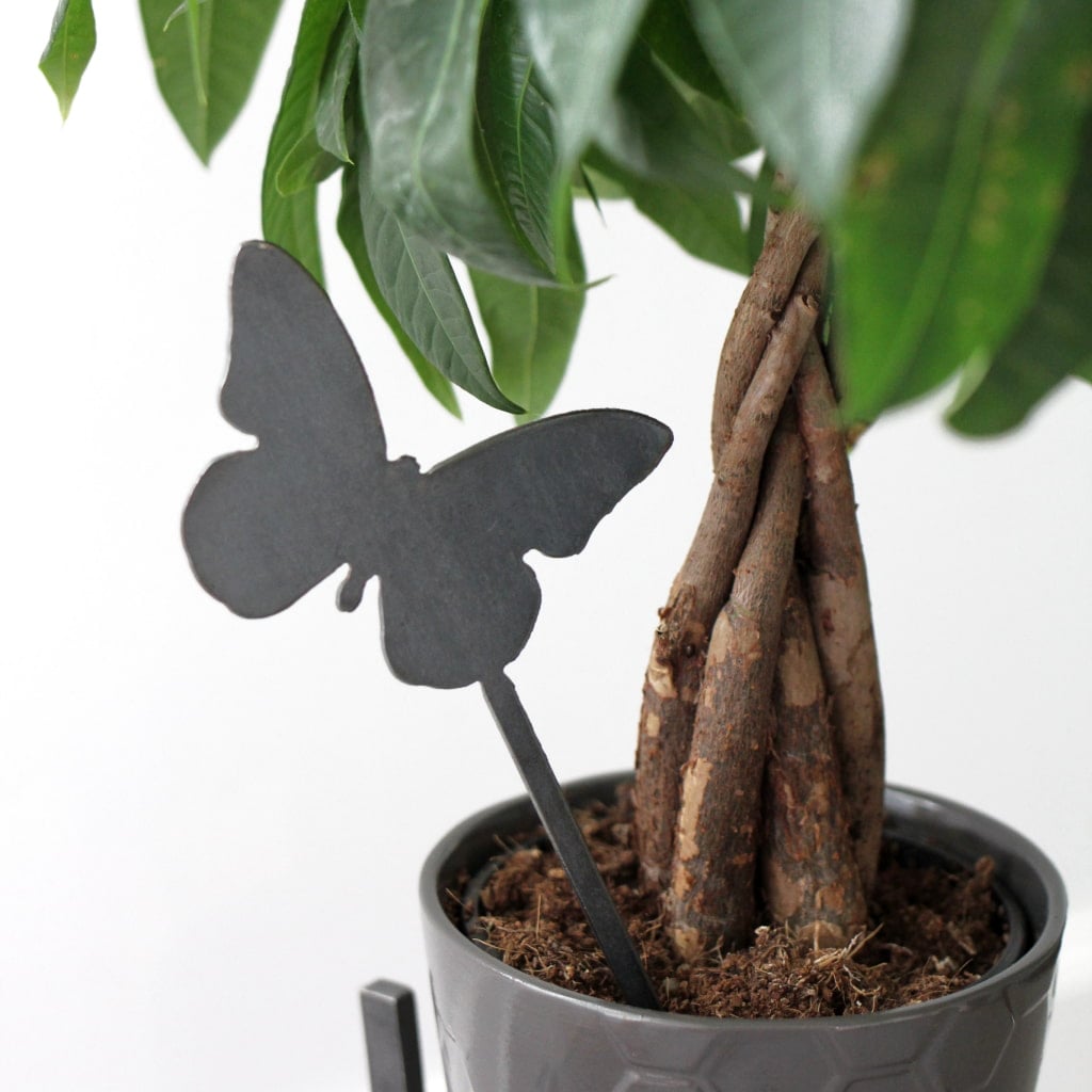 Butterfly Plant Stake