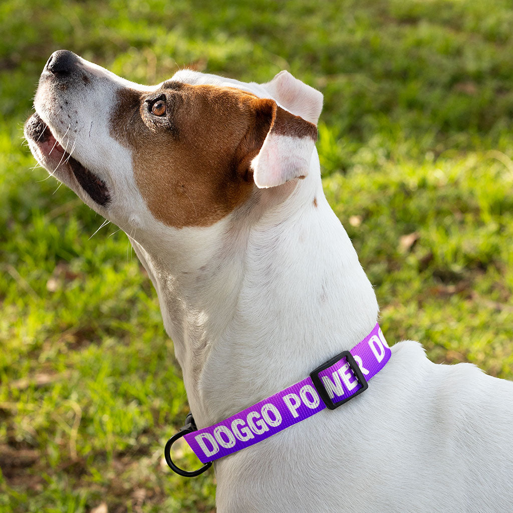 Cool Print Pet Collar - Cool Design Dog Collar - Themed Dog Collar