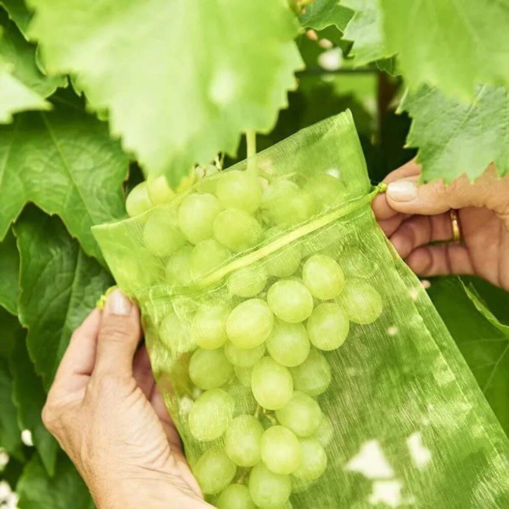 Multi-Size Fruit Protection Mesh Bags