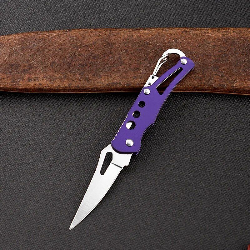 Compact Stainless Steel Folding Knife