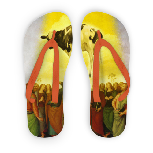 Abduction Adult Flip Flops