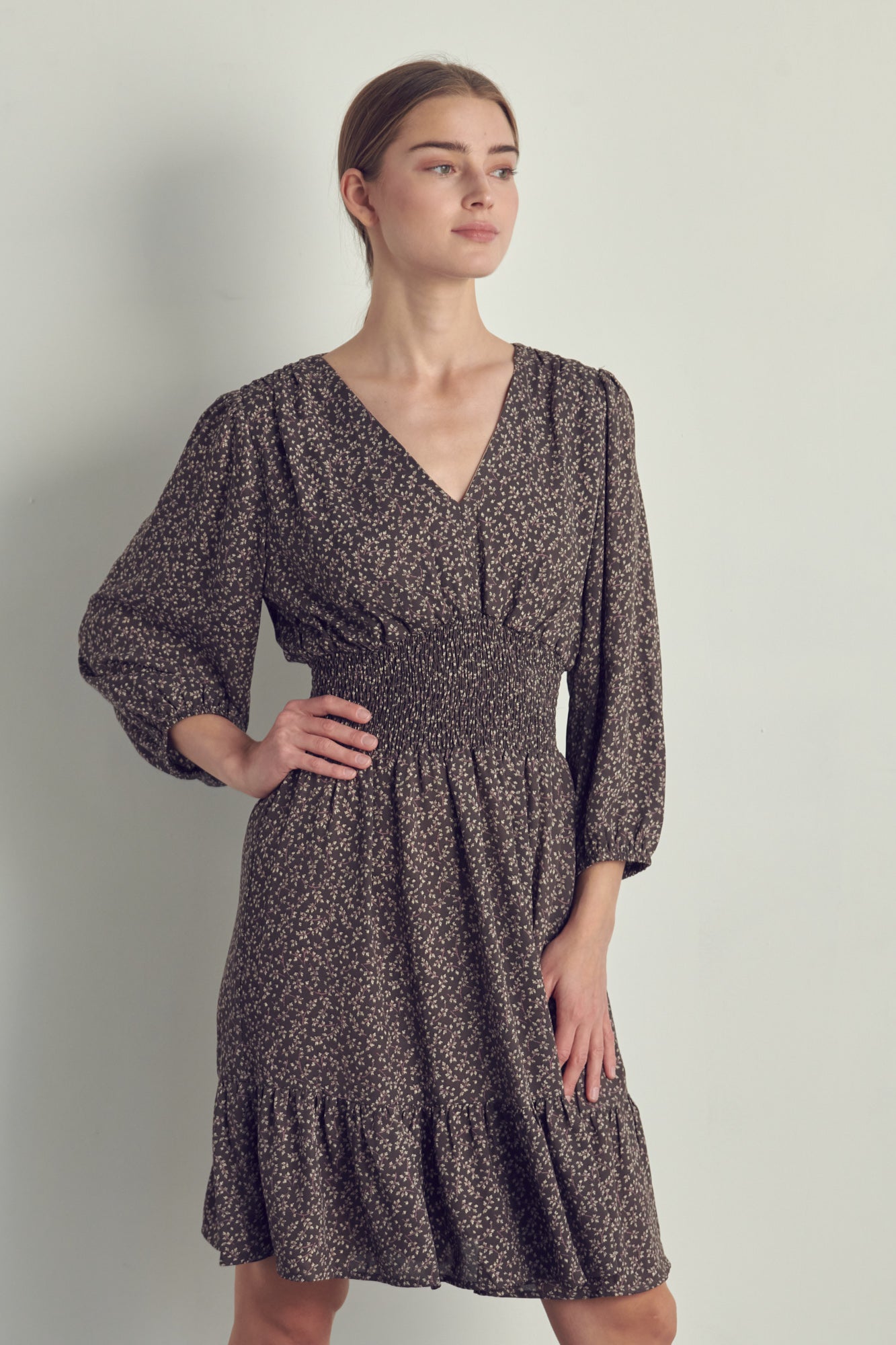 V-neck smocked waisted long sleeve dress