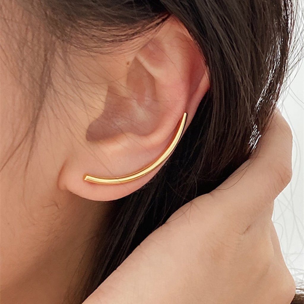 Asymmetrical Design Earrings