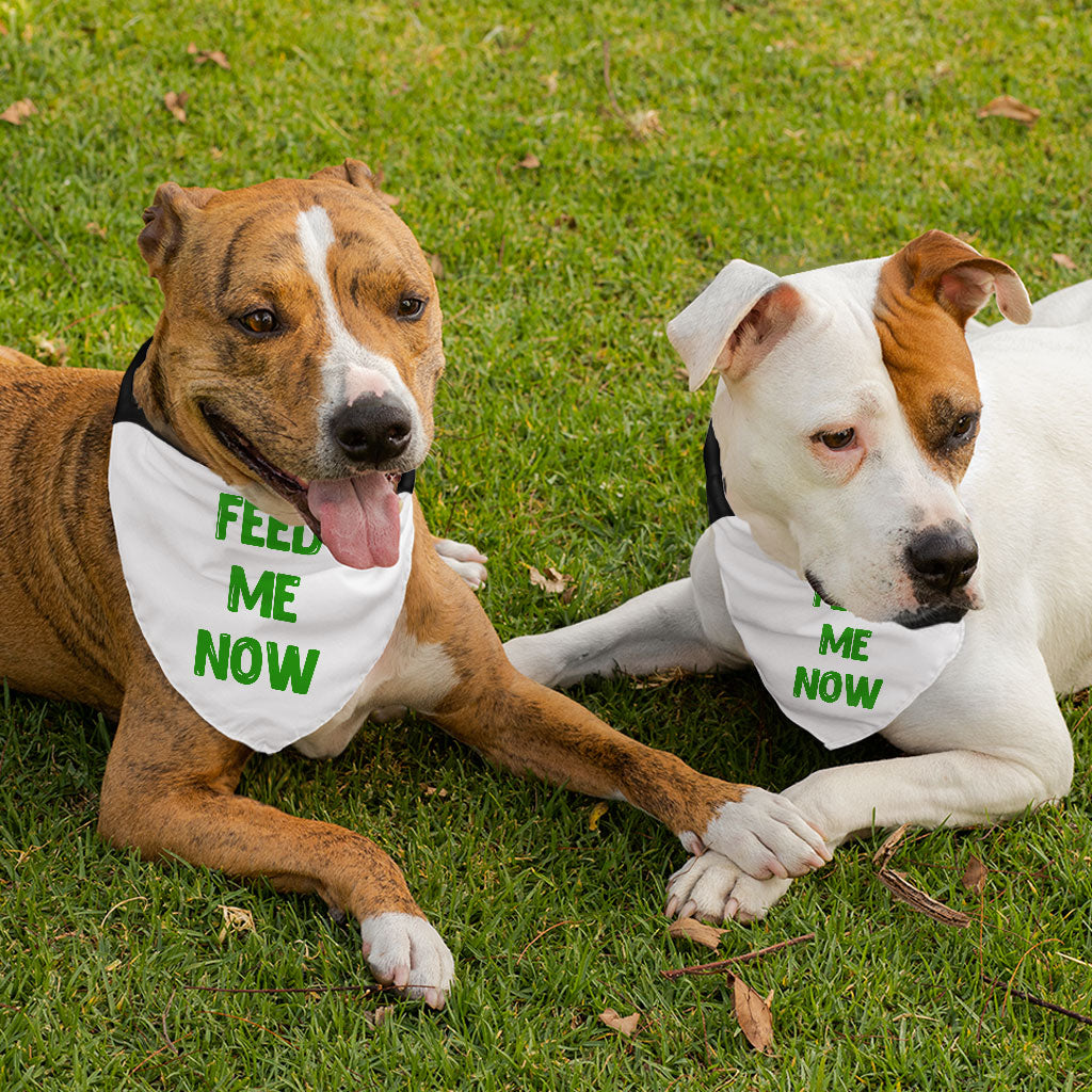 Feed Me Pet Bandana Collar - Cool Scarf Collar - Best Design Dog Bandana