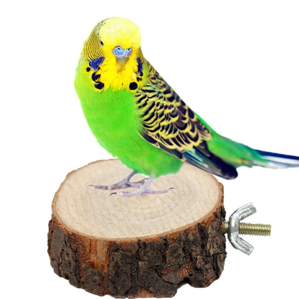 Natural Wooden Bird and Small Pet Perch