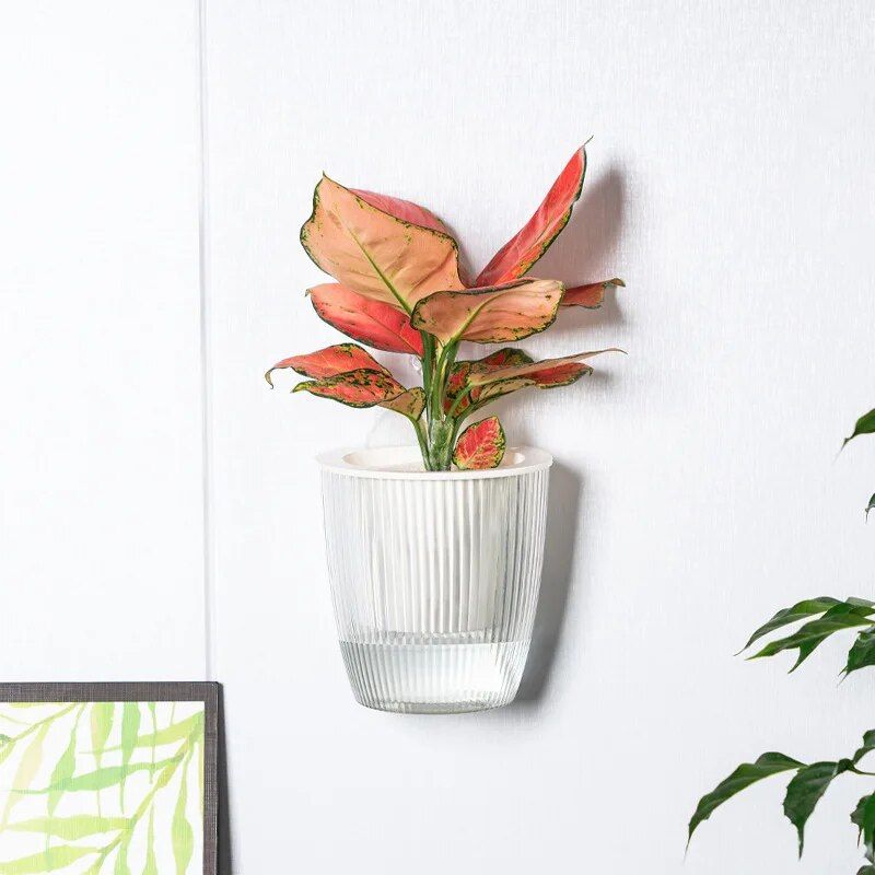 Creative Wall Hanging Planter Self Watering