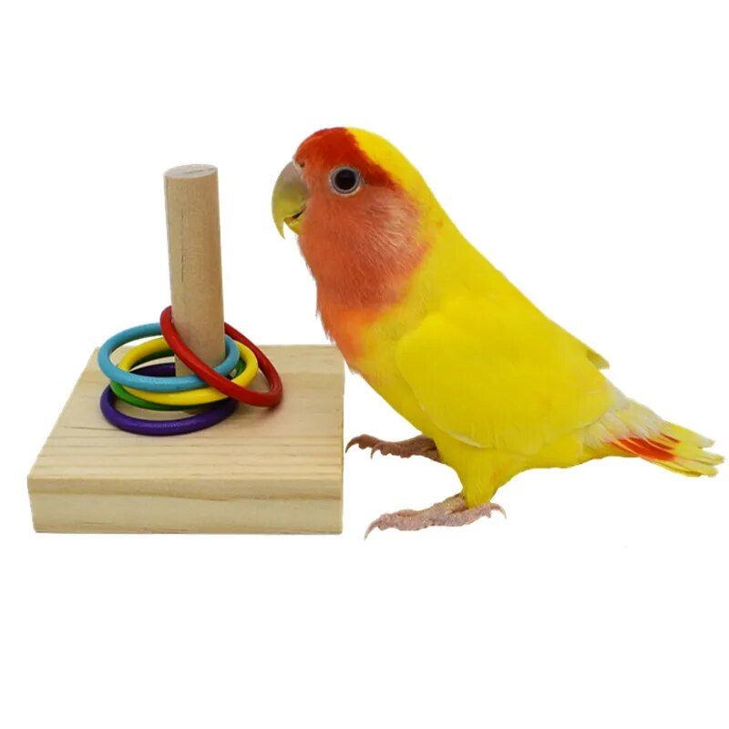 Colorful Parrot Puzzle Toy Set