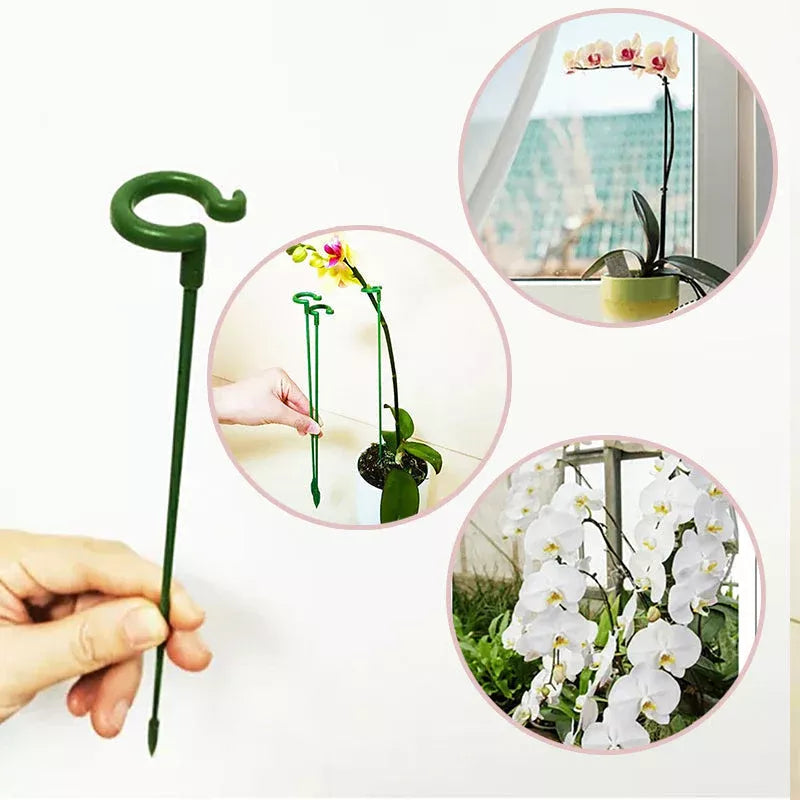 Single Stem Flower Stand