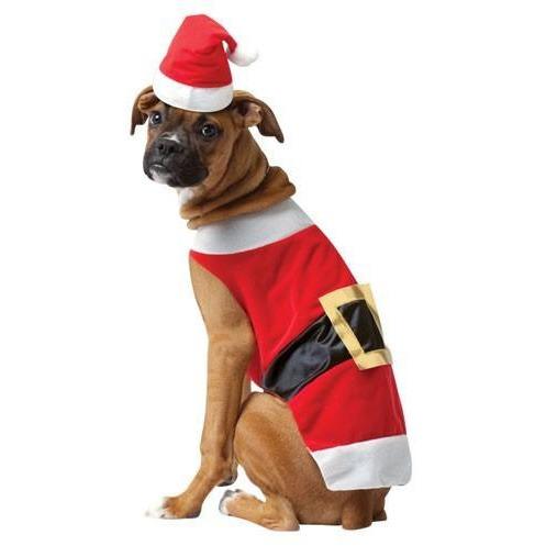 Santa Christmas Pet Costume | Turquoise Daedalus