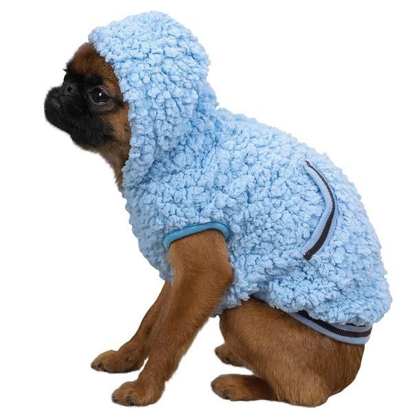 Blue Snowbaby Pet Hoodie | Turquoise Daedalus