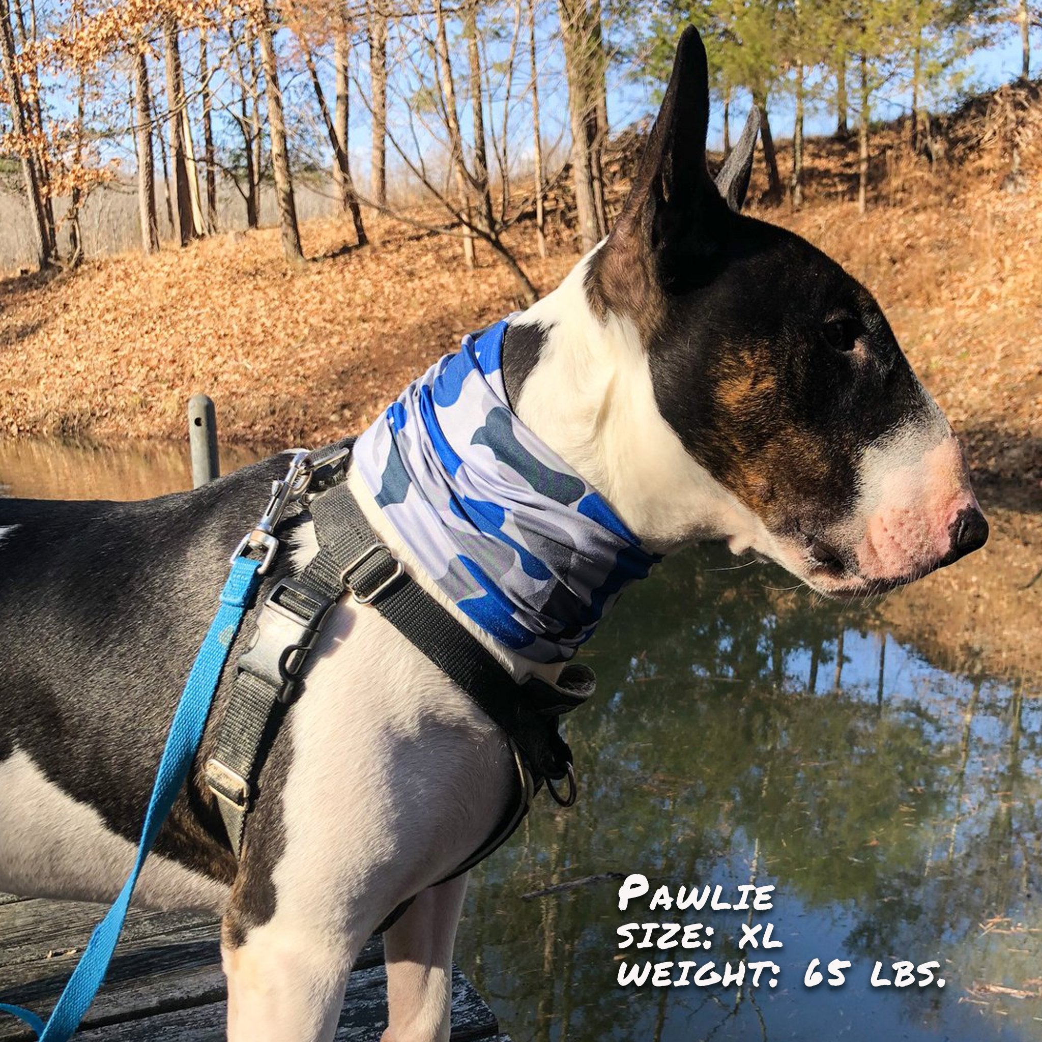 Bone Camo Blue Pup Scruff