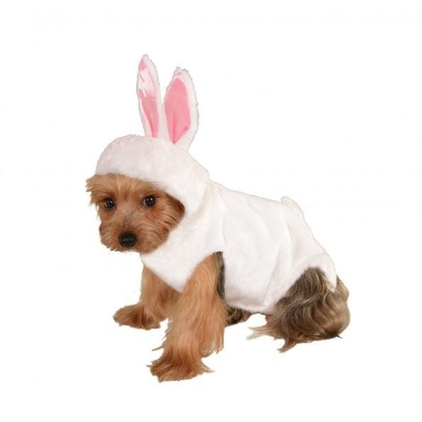 Bunny Pet Costume | Turquoise Daedalus