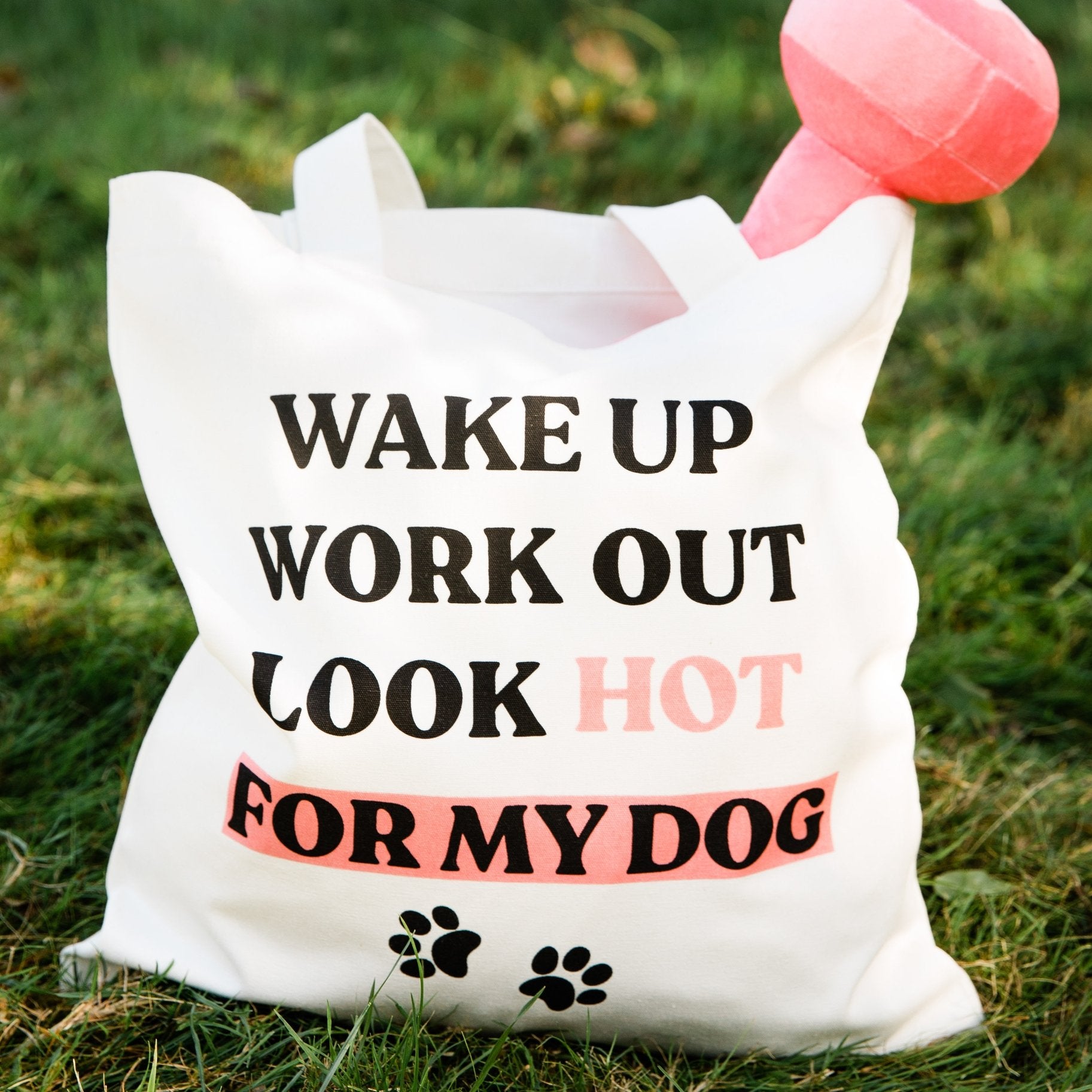 Workout Dog Toy and Tote Bag Set | Scarlet Gaia