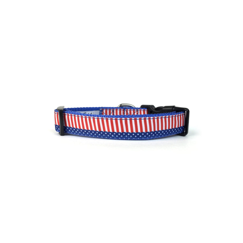 4th of July Star & Stripes Dog Collar