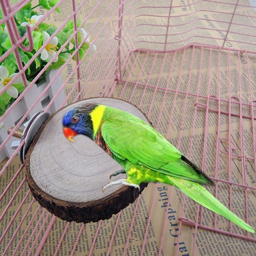 Natural Wooden Bird and Small Pet Perch