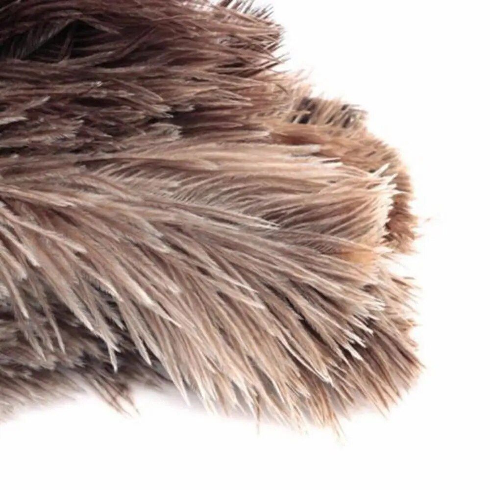 Eco-Friendly Ostrich Feather Duster with Long Wooden Handle