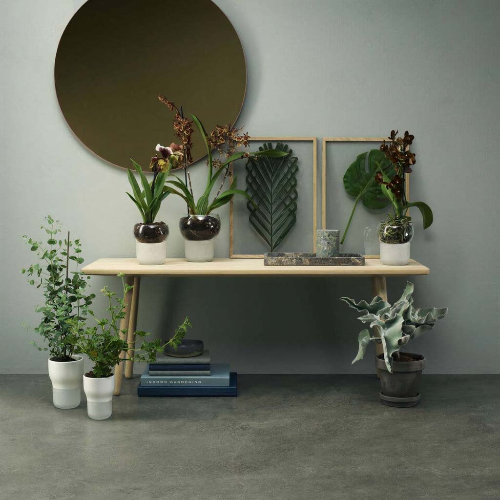 Self-Watering Orchid Pot