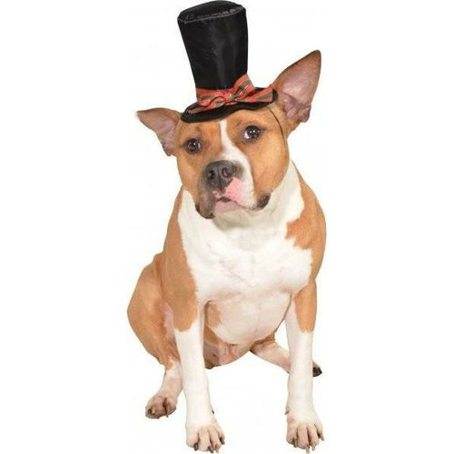 Christmas Caroler Pet Hat - Zomdo Marketplace | Zomdo.com