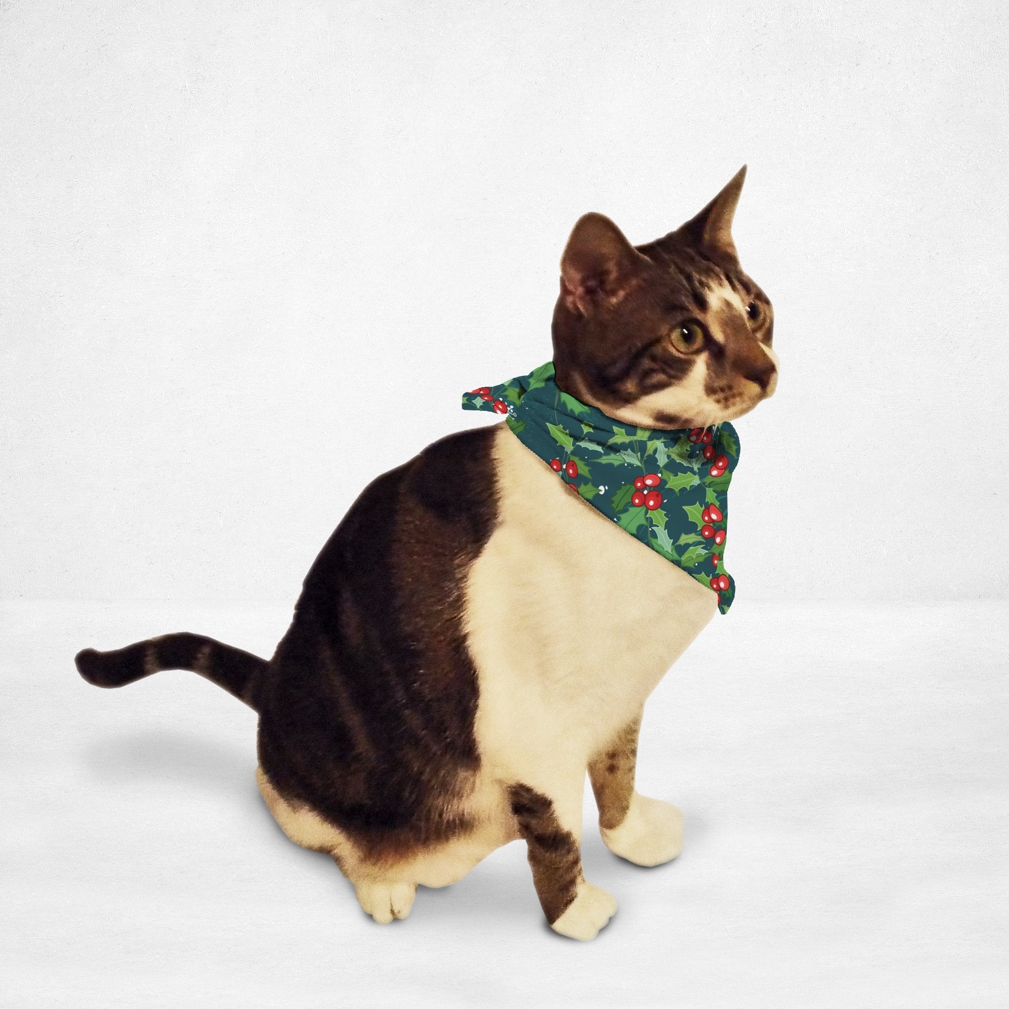 Christmas Holly Cat & Dog Bandana