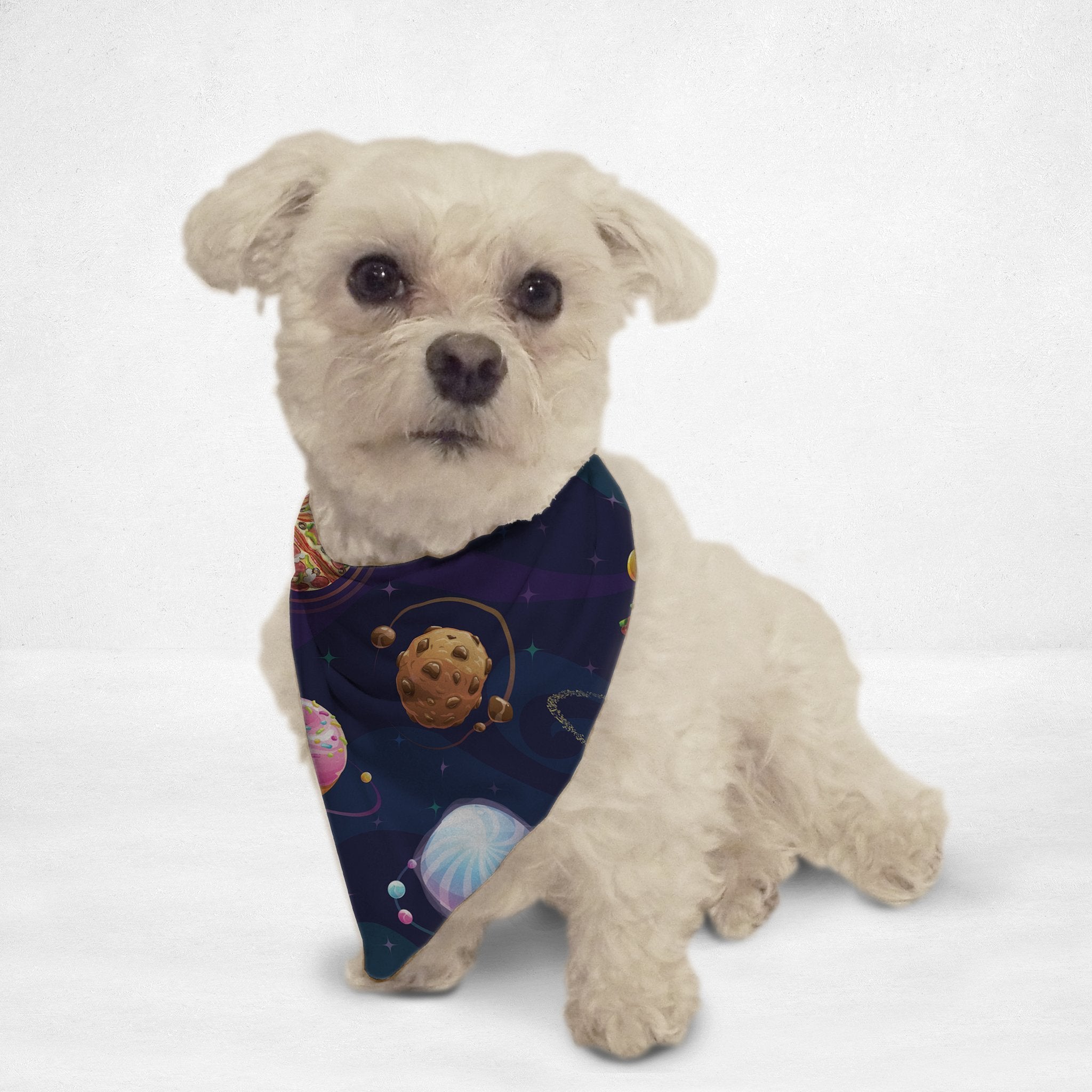 Food Planets Cat & Dog Bandana - Zomdo Marketplace | Zomdo.com