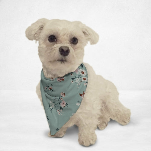 Soft White Flowers Cat & Dog Bandana - Zomdo Marketplace | Zomdo.com