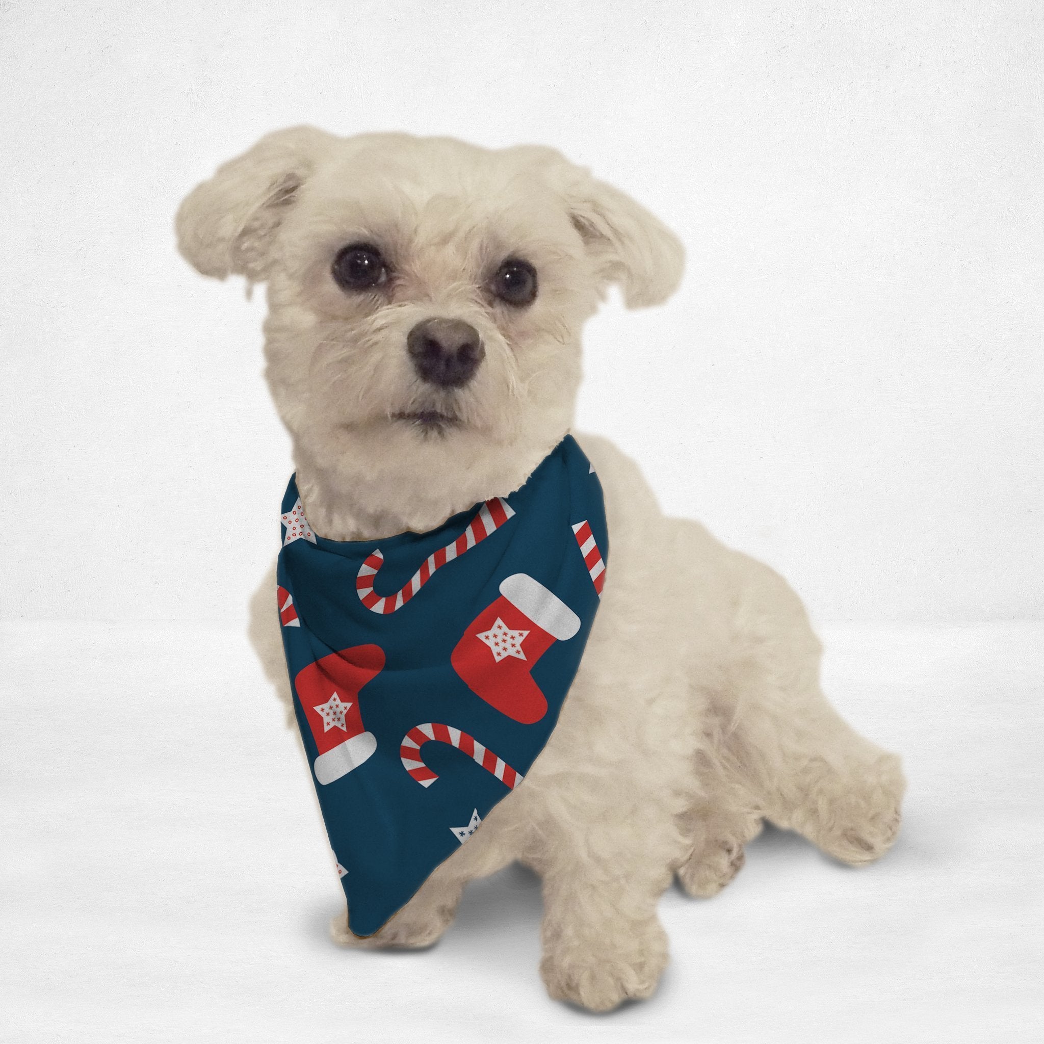 Stockings Cat & Dog Bandana | Orange Poppy