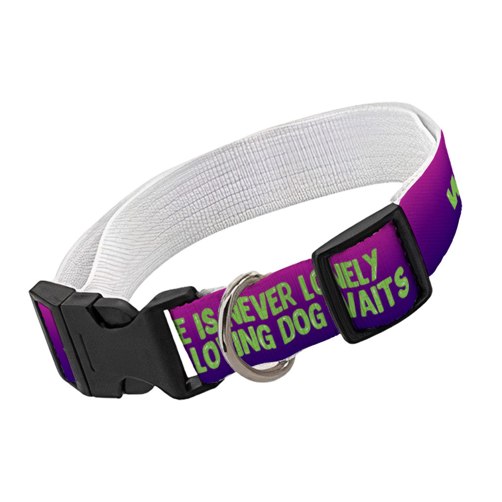 Dog Quote Pet Collar - Cute Dog Collar - Creative Dog Collar