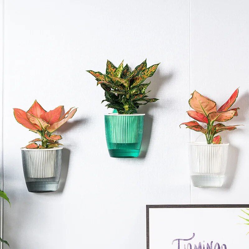 Creative Wall Hanging Planter Self Watering